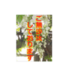 一筆啓上仕り候（個別スタンプ：19）