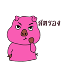 Pig oats ood 2（個別スタンプ：24）