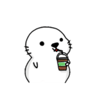 Mr.Cute Seal（個別スタンプ：6）