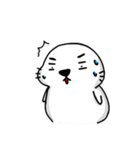 Mr.Cute Seal（個別スタンプ：36）