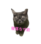 姫子と王子2（個別スタンプ：7）