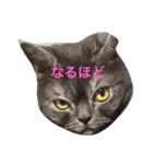 姫子と王子2（個別スタンプ：8）