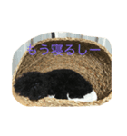 rockの1日（個別スタンプ：3）