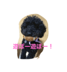 rockの1日（個別スタンプ：4）