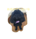 rockの1日（個別スタンプ：6）