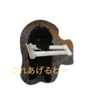 rockの1日（個別スタンプ：8）