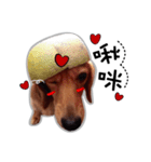 Dachshund GaGa part5（個別スタンプ：9）