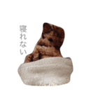 もっこもこ2（個別スタンプ：8）