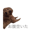もっこもこ2（個別スタンプ：9）