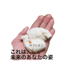 オッ！元気（個別スタンプ：1）