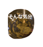 オッ！元気（個別スタンプ：8）