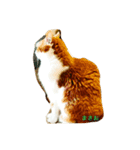 猫のまさお（個別スタンプ：3）