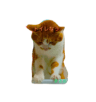 猫のまさお（個別スタンプ：4）