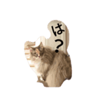 リオンぬ（個別スタンプ：8）