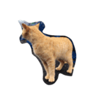 近所の猫たち（個別スタンプ：4）