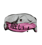 四角いうたたん（個別スタンプ：2）