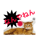 やさぐれた日（個別スタンプ：1）