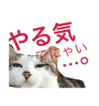 やさぐれた日（個別スタンプ：2）
