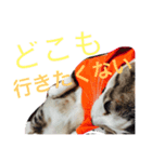 やさぐれた日（個別スタンプ：3）