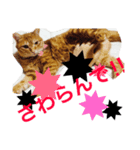 やさぐれた日（個別スタンプ：6）