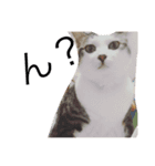 やさぐれた日（個別スタンプ：7）