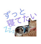 やさぐれた日（個別スタンプ：8）