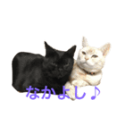 アルとルカ（個別スタンプ：1）