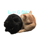 アルとルカ（個別スタンプ：4）