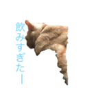 アルとルカ（個別スタンプ：5）