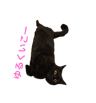 アルとルカ（個別スタンプ：6）