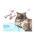 40 Peekaboo meow - Daily Life Part（個別スタンプ：2）