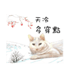 40 Peekaboo meow - Daily Life Part（個別スタンプ：3）