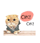 40 Peekaboo meow - Daily Life Part（個別スタンプ：4）