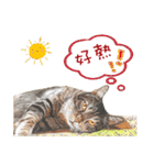 40 Peekaboo meow - Daily Life Part（個別スタンプ：6）