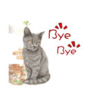 40 Peekaboo meow - Daily Life Part（個別スタンプ：18）