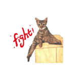 40 Peekaboo meow - Daily Life Part（個別スタンプ：21）