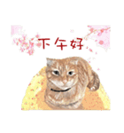 40 Peekaboo meow - Daily Life Part（個別スタンプ：23）