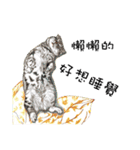 40 Peekaboo meow - Daily Life Part（個別スタンプ：24）