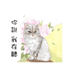 40 Peekaboo meow - Daily Life Part（個別スタンプ：27）