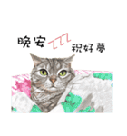 40 Peekaboo meow - Daily Life Part（個別スタンプ：28）