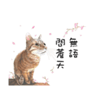 40 Peekaboo meow - Daily Life Part（個別スタンプ：29）