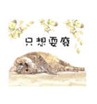 40 Peekaboo meow - Daily Life Part（個別スタンプ：32）