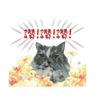40 Peekaboo meow - Daily Life Part（個別スタンプ：34）