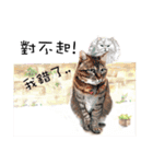 40 Peekaboo meow - Daily Life Part（個別スタンプ：39）