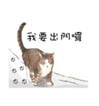 40 Peekaboo meow - Daily Life Part（個別スタンプ：40）