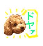 今日のニコ☺︎（個別スタンプ：2）