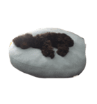 Coco-chan1（個別スタンプ：5）