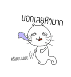 The crazy catt. Meowww（個別スタンプ：1）