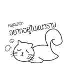 The crazy catt. Meowww（個別スタンプ：7）