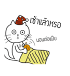 The crazy catt. Meowww（個別スタンプ：8）